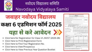 NVS Admission form class 6